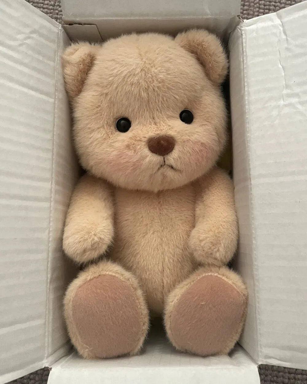 Kissa-Teddy® Original - Schweiz Trend Shop