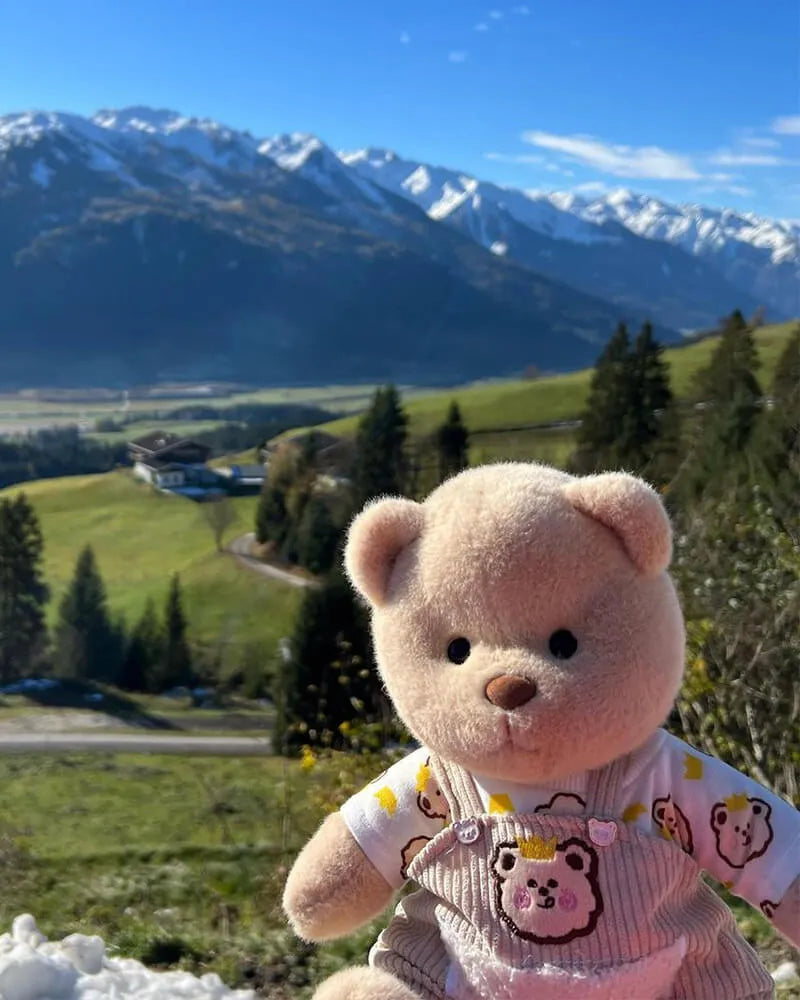 Kissa-Teddy® Original - Schweiz Trend Shop