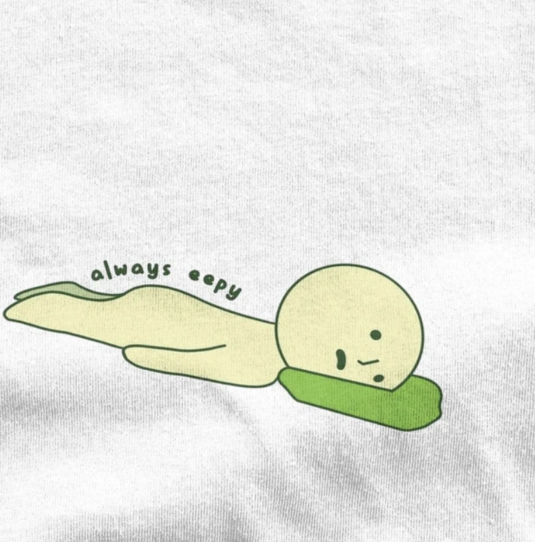 SMISKI T-Shirt Always Sleepy - Schweiz Trend Shop
