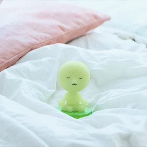 SMISKI Bobbing Kopf - Schweiz Trend Shop